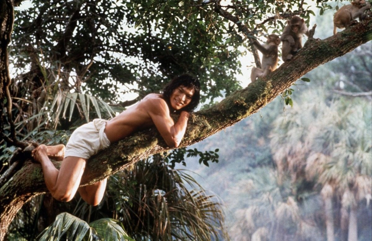 Disney Working of Live-Action 'Jungle Book' Reboot - mxdwn Movies