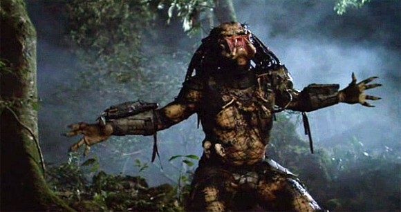 predator-what-are-you-waiting-for