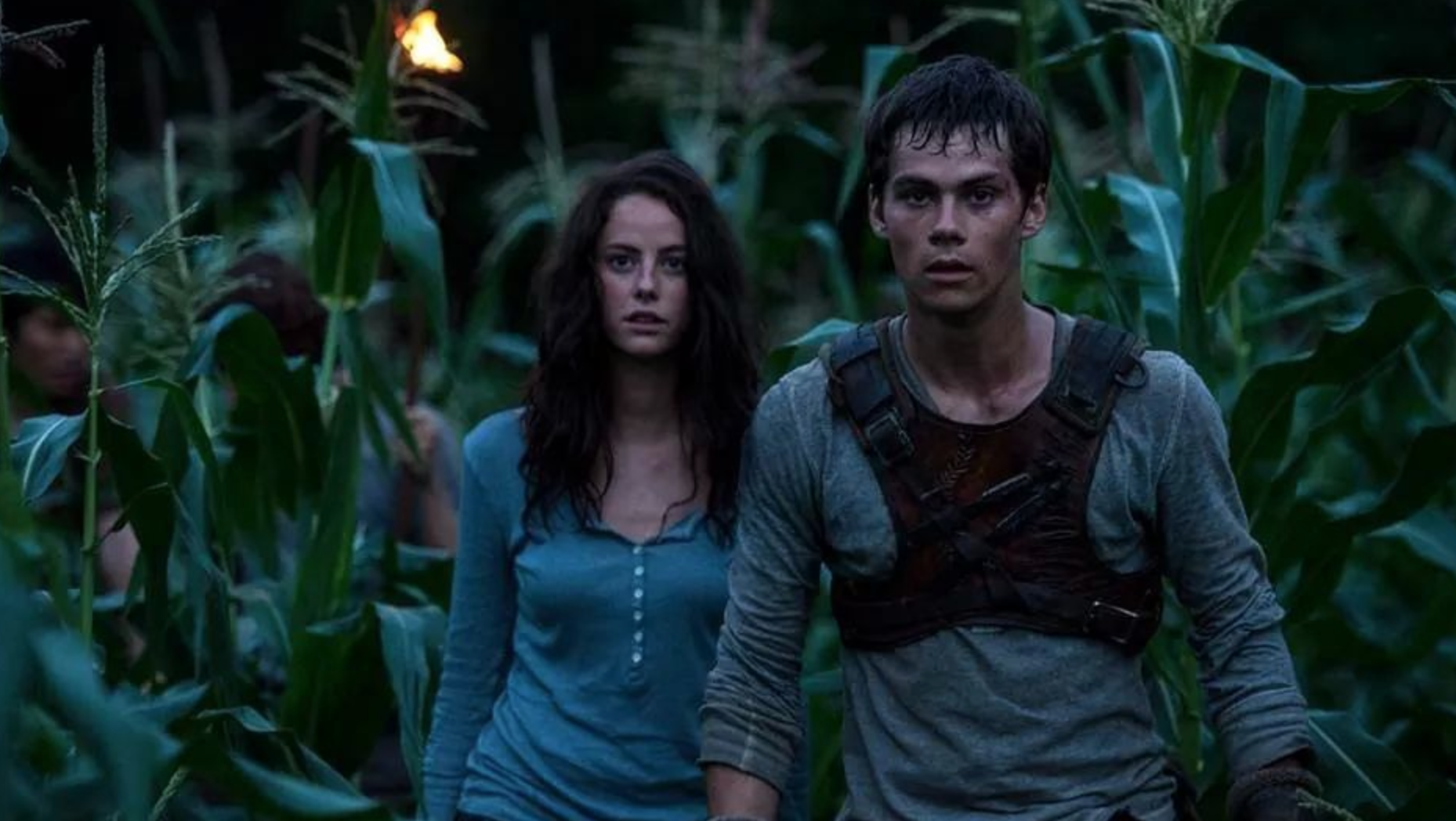 The Maze Runner Movie