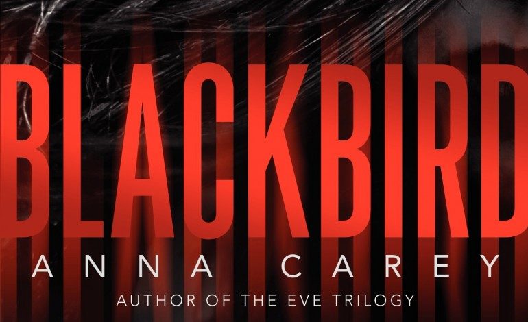 Lionsgate in Talks to Adapt YA Novel ‘Blackbird’