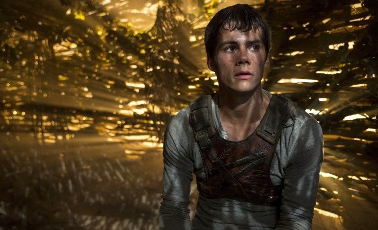 Production on ‘Maze Runner: The Death Cure’ to Resume in February
