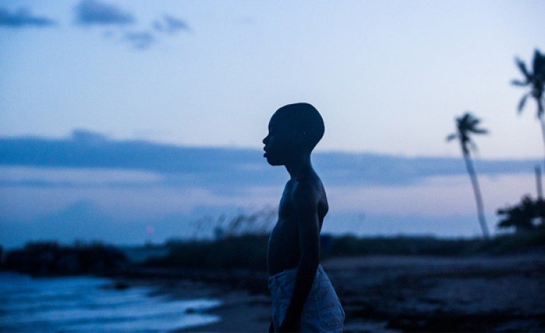 ‘Moonlight’ Shines in Limited Debut