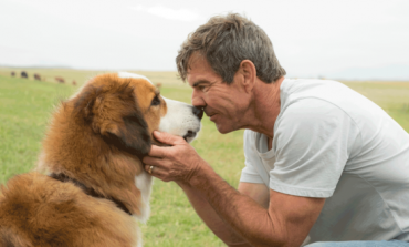 Movie Review - 'A Dog's Purpose'