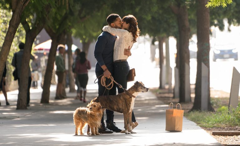 Trailer For ‘Dog Days,’ Starring Vanessa Hudgens, Nina Dobrev, and Adam Pally