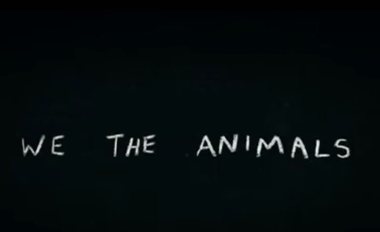 Trailer for Family Indie ‘We The Animals’