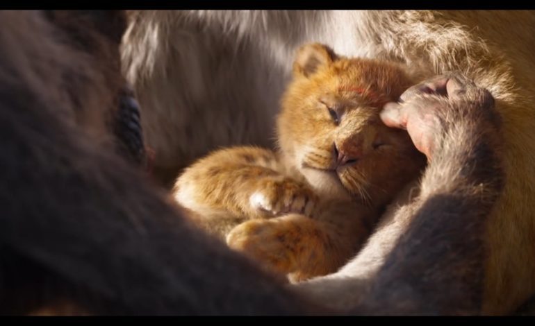 ‘The Lion King’ CinemaCon Footage Showcases Impressive CGI