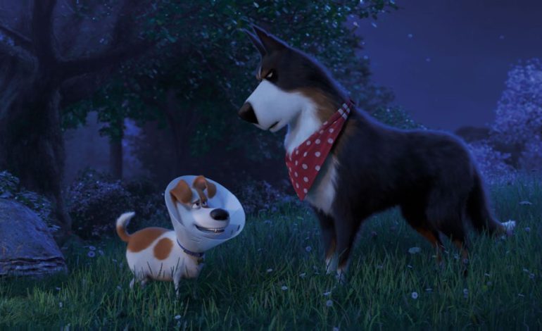 Movie Review: ‘The Secret Life of Pets 2’