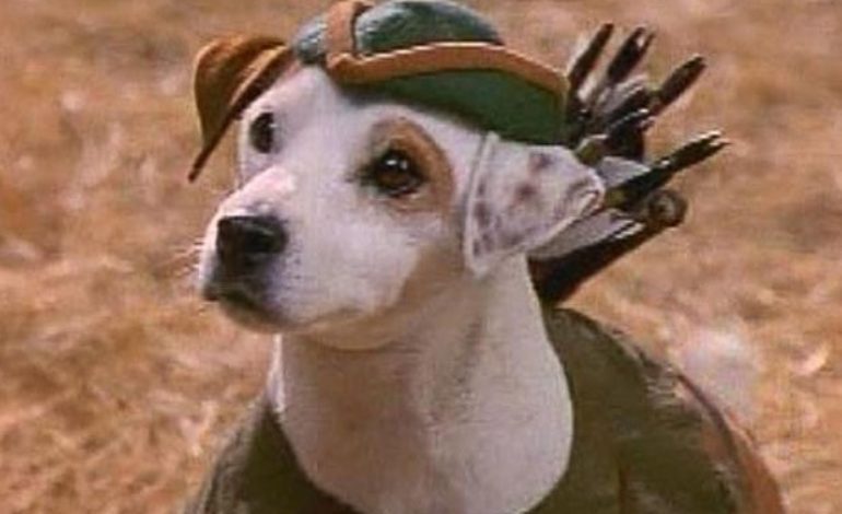 Universal to Adapt PBS Series ‘Wishbone’ As A Feature Film