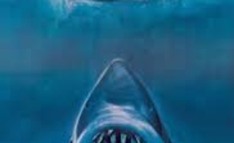 Jaws' Debuts in Stunning IMAX! -Classic Movie Review! - mxdwn Movies