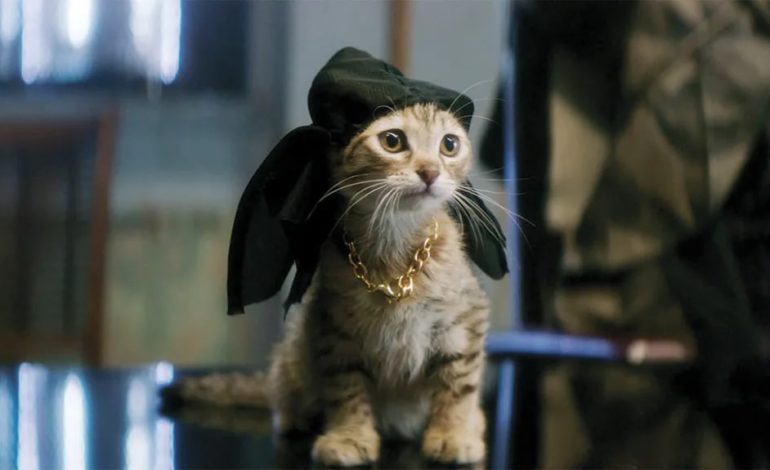 Team Behind ‘Keanu’ Scratches Out Hopes Of Sequel