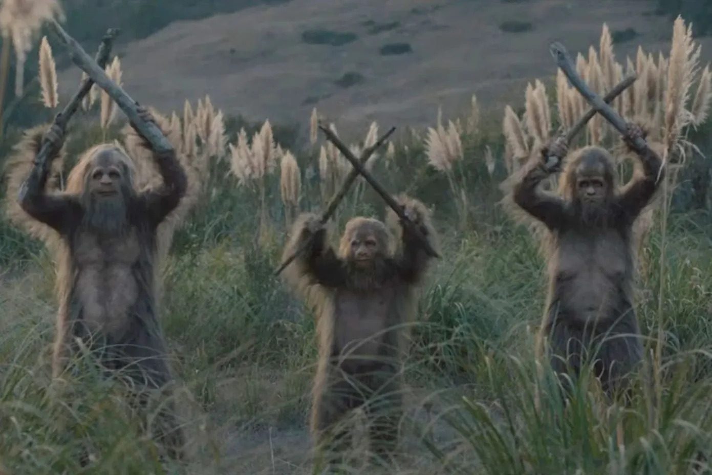Jesse Einsenberg’s ‘Sasquatch Sunset’ Screens To An Audience Of Apes. No, Really.