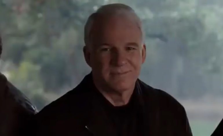 The Top 10 Steve Martin Performances