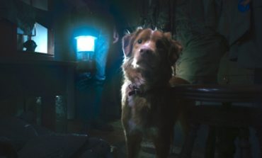 Shudder's Latest Film 'Good Boy' Debuts At 93%