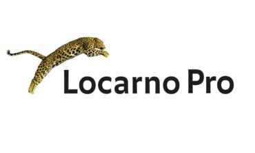 The StepIn 2025 Report By Locarno Pro Concludes The Independent Film Industry Needs To Take More Risks In Order To Survive