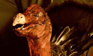 "ThanksKilling" Around Thanksgiving: Exploring A Turkey-centric Slasher Franchise