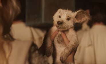 Big Game Spot On Puppy Bowl 2026 Shows Sneak Peak For 'Supergirl'