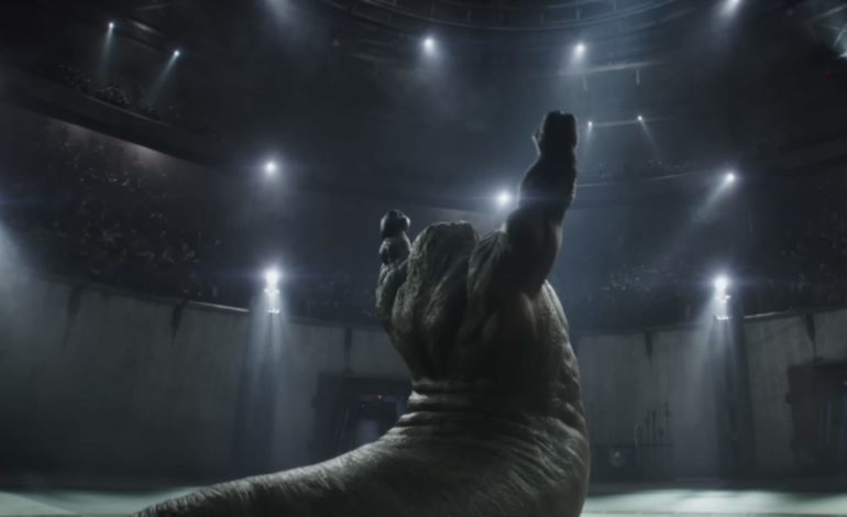 Jon Favreau Sheds Light On Why Jeremy Allen White Was Selected For ‘The Mandalorian & Grogu’ 