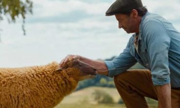 'The Sheep Detectives' Becomes A Surprise Domestic Office Hit In Its Opening Weekend